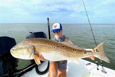 redgfis|types of redfish.